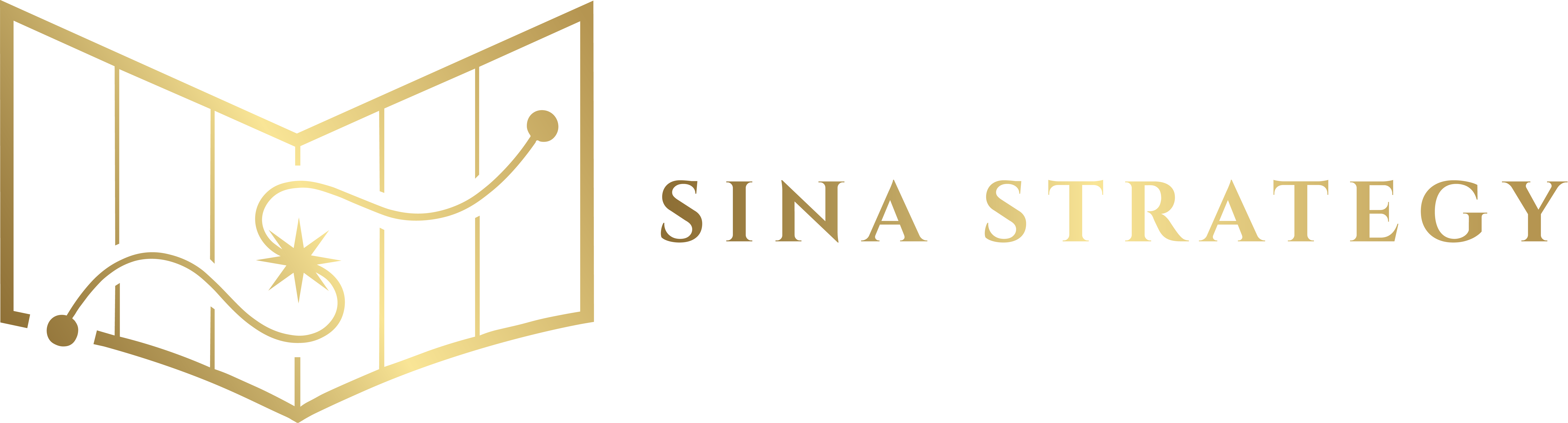 Sina Strategy Logo